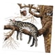 thumbnail image 1 of Kit De Punto De Cruz Estampado Y Contado Patrón De Gato Durmiente 14CT Estampado, 1 of 3