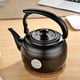 thumbnail image 1 of Tetera De Acero Inoxidable De 1L, Tetera De Cocina, Tetera De Metal, Tetera Negra, 1 of 3