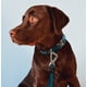 thumbnail image 5 of Correa y collar para perro Pet Life ® Serie Outdoor 'Escapade', 5 of 7