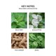 thumbnail image 3 of Recarga líquida Reed Difusor NEST New York Wild Mint & Eucalyptus, 3 of 6