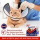 thumbnail image 5 of Gel Seal It Dog para el cuidado de heridas para mascotas, 15 ml, detiene el sangrado, 5 of 6