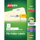 thumbnail image 1 of Etiquetas para carpetas de archivos Avery TrueBlock 1500, blancas (5366), 1 of 8