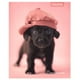 thumbnail image 2 of Cuaderno Universitario Animales Adorables 7mm 100 Hojas / Producto surtido, 1 Un, 2 of 12