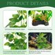 thumbnail image 3 of Plantas de acuario Holyenten 25 cm 2 unidades de seda, seguras para peces, 3 of 6