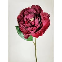 Corel - Flor Decorativa Peonia Brandy 45Cm