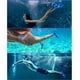 thumbnail image 5 of Aletas de Natación Prsca para Niños – Cortas para Entrenamiento en Piscina, 5 of 7