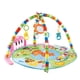thumbnail image 1 of Gimnasio Musical 2 Arcos Rosado, 1 of 4