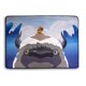 thumbnail image 1 of Throw Blanket Surreal Entertainment Avatar Aang & Appa, 1 of 7