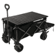 thumbnail image 1 of BEBESIT CARRO DE ARRASTRE 3 EN 1 OUTDOOR NEGRO, 1 of 7