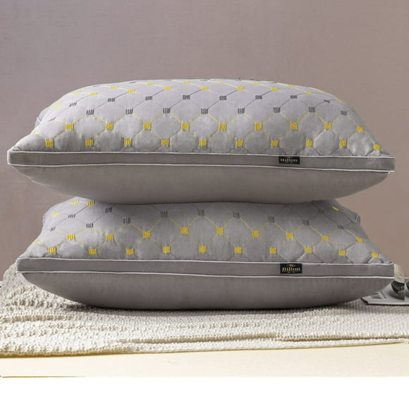 Pack 2 Almohadas 45x70 cm Color Gris
