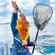 thumbnail image 4 of Red de pesca SEASPRO telescópica de aleación de aluminio y caucho azul, 4 of 8