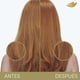 thumbnail image 3 of Shampoo Dove UV Repair, 650 ml, 3 of 4