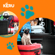 thumbnail image 5 of Canil Para Perros Desarmable 2 Puertas - Jaula Max 40 Kg, 5 of 7