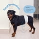 thumbnail image 2 of Pañales desechables para perros machos PitPet, paquete de 30 unidades, superabsorbentes, 2 of 7
