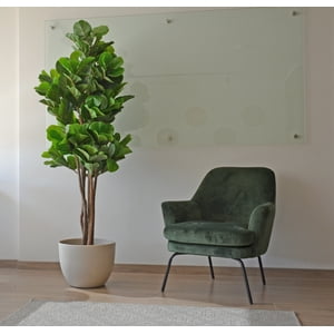 Arbusto Real - Planta Artificial Ficus Lyrata 180 Cm. Premium.