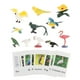 thumbnail image 1 of Figuras De Animales Montessori Para Combinar Con Animales, Juguetes Para Regalo De Vacaciones, Pájaro Para Escuela En Casa, 1 of 5