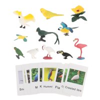 Bothyi - Figuras De Animales Montessori Para Combinar Con Animales, Juguetes Para Regalo De Vacaciones, Pájaro Para Escuela En Casa