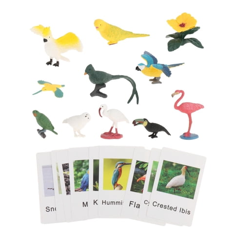 Bothyi - Figuras De Animales Montessori Para Combinar Con Animales, Juguetes Para Regalo De Vacaciones, Pájaro Para Escuela En Casa