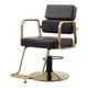 thumbnail image 1 of Silla Barbero Negro, Salon Peluqueria Profesional Vintage, 1 of 3