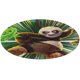 thumbnail image 1 of Kung Fu Panda Alfombra Redonda de Felpa Coral, Antideslizante, No Desprende Pelusas, Lavable y Duradera para Salón, Dormitorio y Habitación de Niños 60cm, 1 of 6