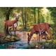 thumbnail image 2 of Rompecabezas Bits and Pieces "Woodland Stream" 300 piezas 46 × 61 cm, 2 of 9