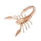 thumbnail image 3 of Juego De Montaje De Modelo De Insecto De Rompecabezas De Madera 3D Para Ni?os Insectos Educativos Para Ni?os Estilo F, 3 of 5