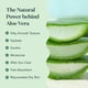 thumbnail image 5 of Spray de aloe BARE BOTANICS refrescante para piel y cabello, 355 ml, 5 of 5