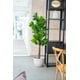 thumbnail image 4 of Planta Artificial Ficus Lirata 180 cm / 254 hojas Verde, 4 of 10