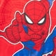 thumbnail image 3 of Conjunto de Sudadera y Pantalón para Niños Marvel Spider-Man 2 Piezas, 3 of 9