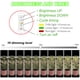 thumbnail image 4 of Luz de Crecimiento para Plantas yadoker LED Espectro Completo Ajustable Paquete de 2, 4 of 6