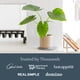 thumbnail image 5 of Set de macetas y platillos Dorai Home Stone para plantas de interior, x2, 5 of 8