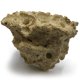 thumbnail image 3 of Porta coral Tunze Nano 18 x 6 x 13 cm con soporte magnético, 3 of 3