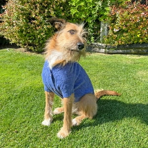 Domestico - Chaleco Para Perro Color Azul