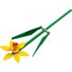 thumbnail image 3 of Bloques de construcción Botanical Narcisos, 3 of 3