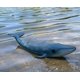 thumbnail image 5 of Figura de acción Gemini&Genius Blue Whale Sea Animal Kids, 5 of 9