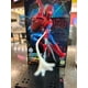 thumbnail image 2 of Figura Armable Spider Man Brand New Day Marvel Blokees, 2 of 5