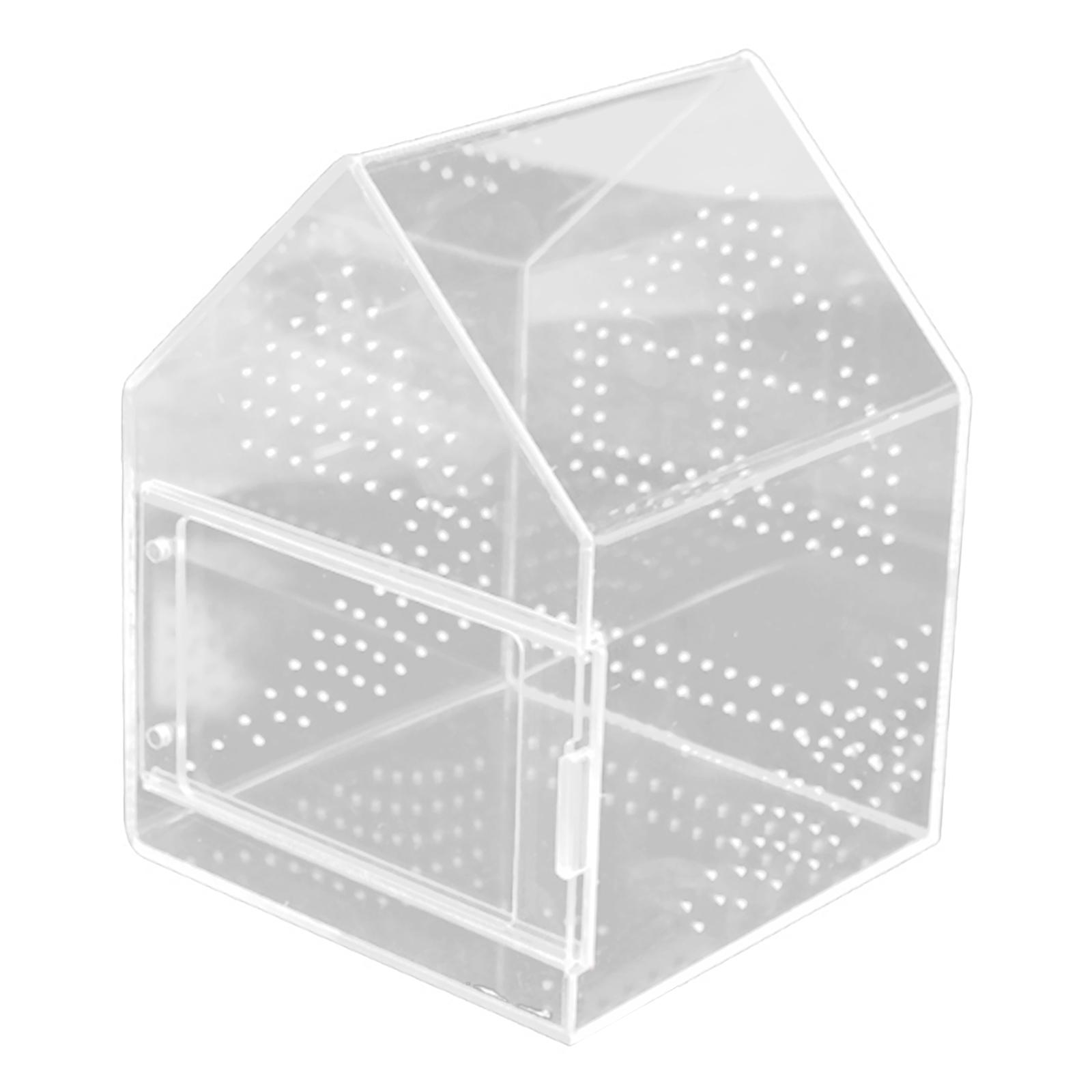 Magideal - Terrario Para Arañas Saltarinas Caja De Cría Recinto Para Tarántulas Y Microhábitat Acrílico Con Ventilación Para Un Ambiente Cómodo Adecuado Para Af 17 Cm X 17 Cm X 22 Cm