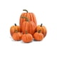 thumbnail image 1 of Set 7 Calabazas de Foam Naranjas hasta 21 cm Halloween - Frank & Mortis, 1 of 3