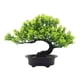 thumbnail image 2 of Árbol De Bonsái Artificial Árbol De Bonsái Falso Para Sala De Estar Patio Pantalla De Escritorio Verde, 2 of 5