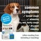 thumbnail image 3 of Medicamento para la tos HomeoPet para perros, gatos y mascotas pequeñas, 15 ml, 3 of 7