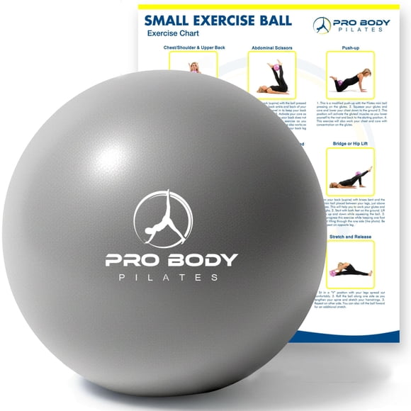 Pelota de ejercicio ProBody Pilates de 23 cm para estabilidad, color plateado