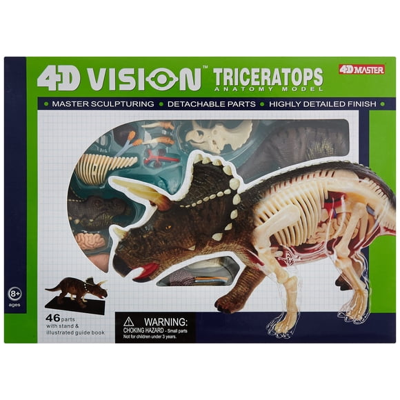 Modelo Anatómico Famemaster Triceratops 19 cm Visión 4D