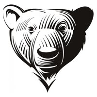 Rienda Libre Graphics - Decomural Bear Portrait Wild Animals Ws-17616