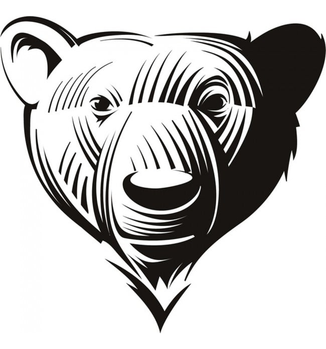 Rienda Libre Graphics - Decomural Bear Portrait Wild Animals Ws-17616