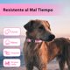 thumbnail image 4 of Collar para perro PcEoTllar L rosa iluminado y recargable, 4 of 7