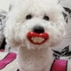 thumbnail image 2 of 1pc Assorted Varieties Pet Funny Pacifier For Dogs Chew Toy Interactive Toy Red Lip Shaped Dog Toy, 2 of 4
