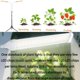 thumbnail image 5 of Luz de cultivo Secefeao 210 LED de espectro completo con temporizador, 5 of 8