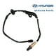 thumbnail image 1 of Sensor De Oxigeno Hyundai Elantra 1.6 1.8 2012-2013, 1 of 9