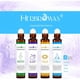 thumbnail image 2 of Set Roll On Herbromas 4 x 10 ml de Aceites Esenciales Prediluidos, 2 of 3