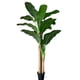 thumbnail image 1 of Planta Artificial Banano 190 cm. Premium., 1 of 3